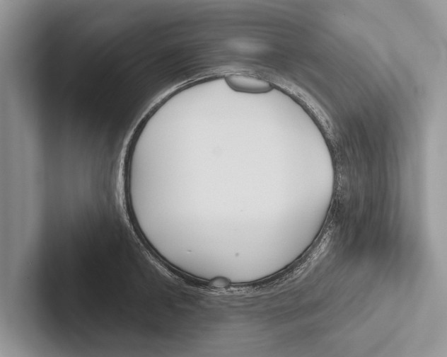 X0000102540902200809051530