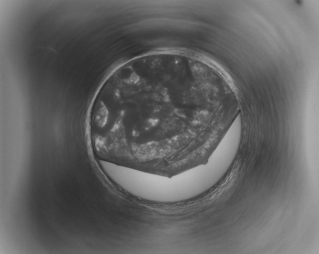 X0000102540907200809051530