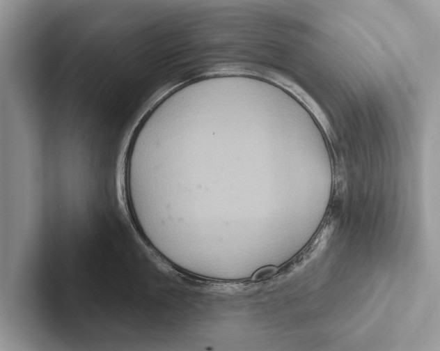 X0000102540909200809051530