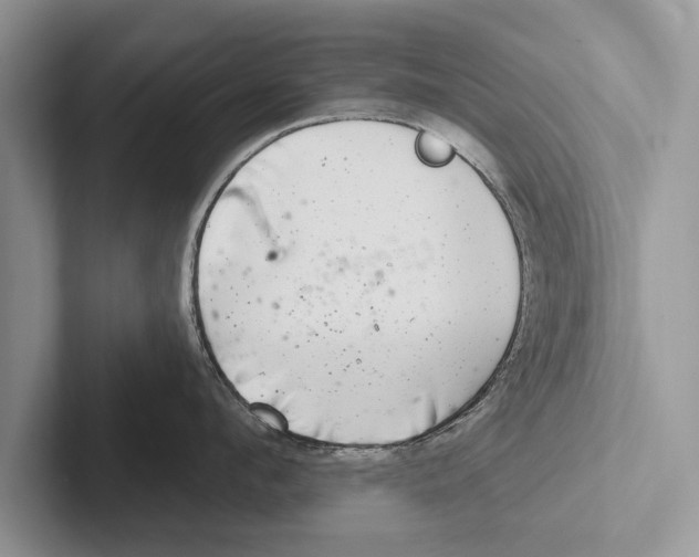 X0000102540912200809051530