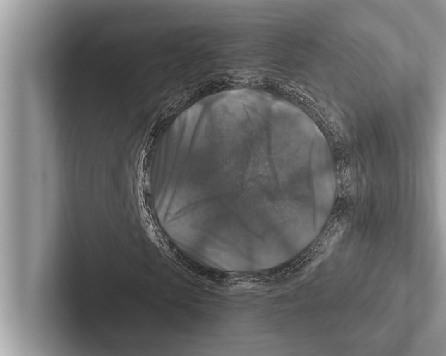 X0000102540913200809051529