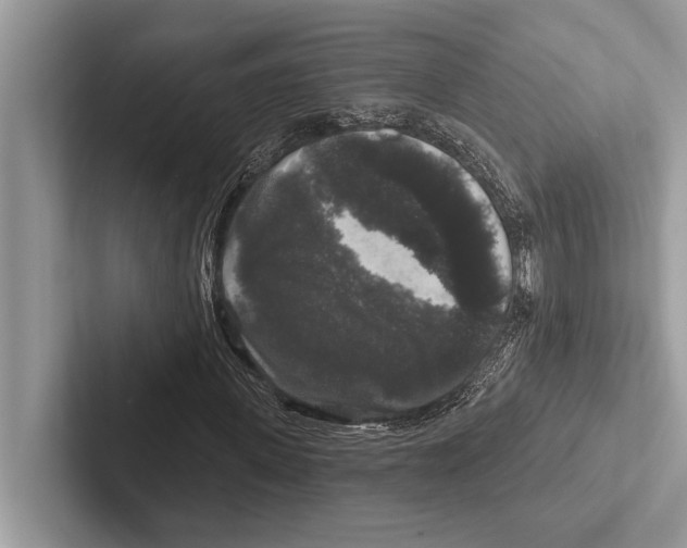 X0000102540915200809051529