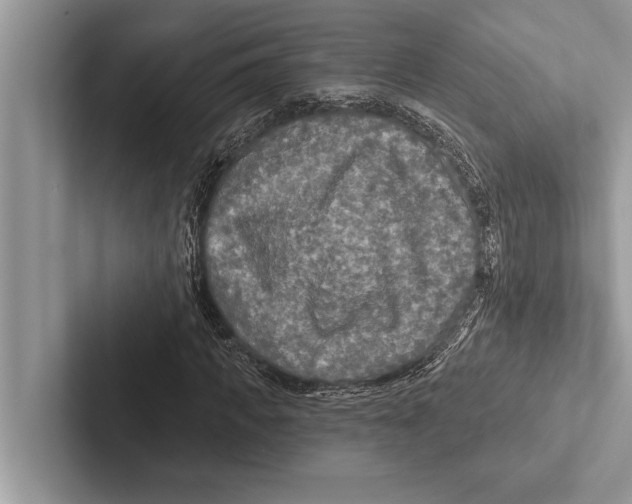 X0000102540917200809051529