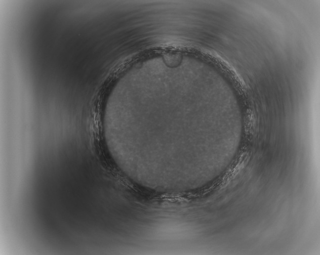 X0000102540918200809051529