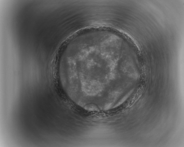 X0000102540919200809051529