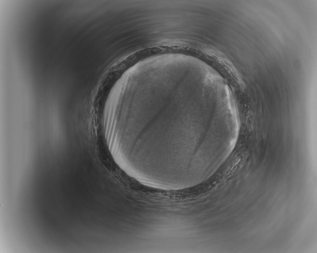 X0000102540920200809051529