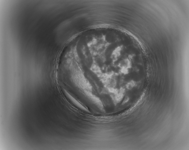 X0000102540921200809051529