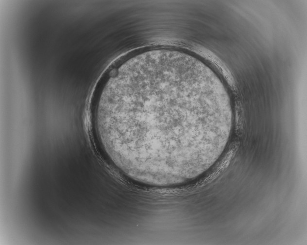 X0000102540924200809051530
