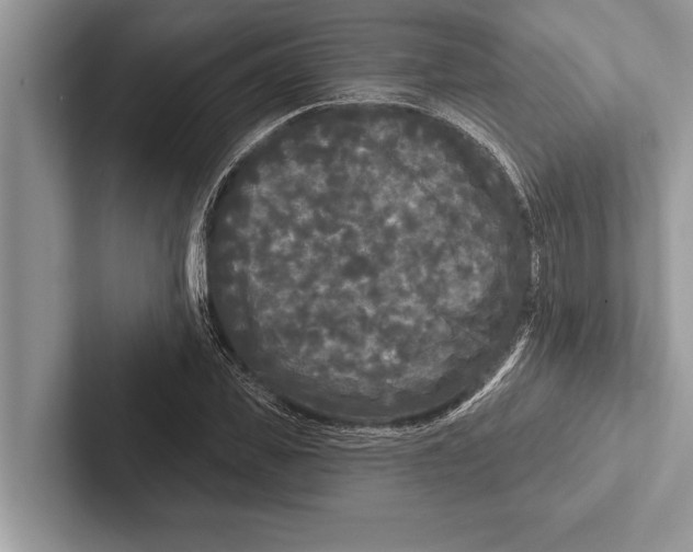 X0000102540925200809051530
