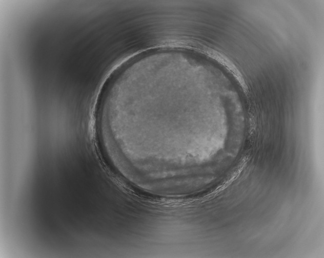 X0000102540928200809051530