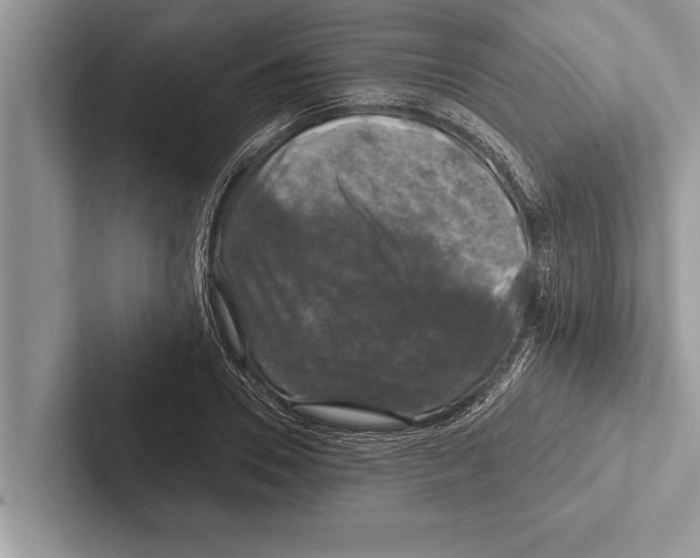 X0000102540930200809051530