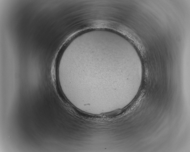 X0000102540934200809051530