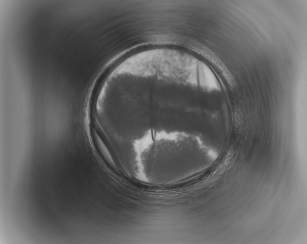 X0000102540935200809051530