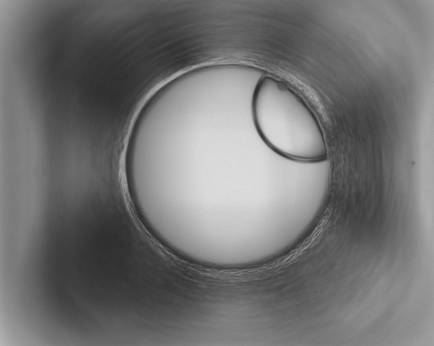 X0000102540936200809051530