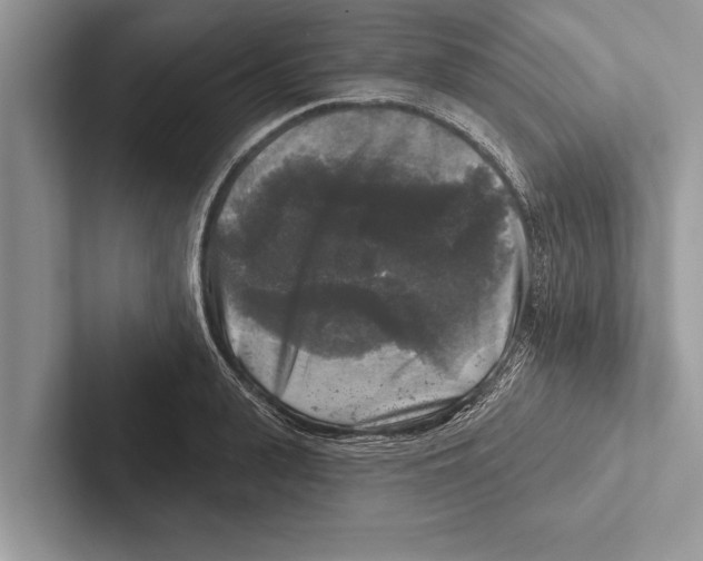 X0000102540943200809051530