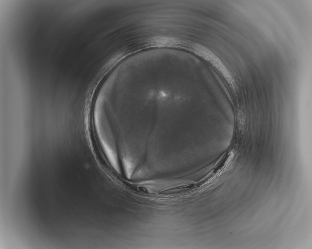X0000102540946200809051530