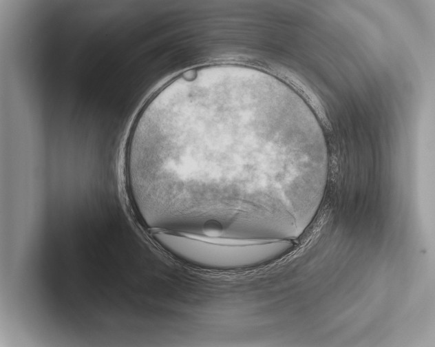 X0000102540948200809051530
