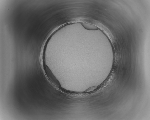X0000102540949200809051530