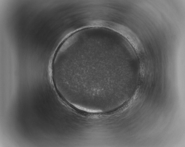 X0000102540950200809051530