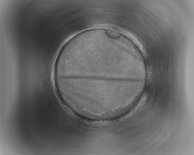 X0000102540952200809051530