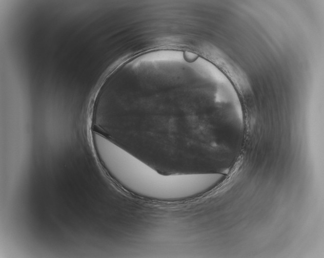 X0000102540954200809051530