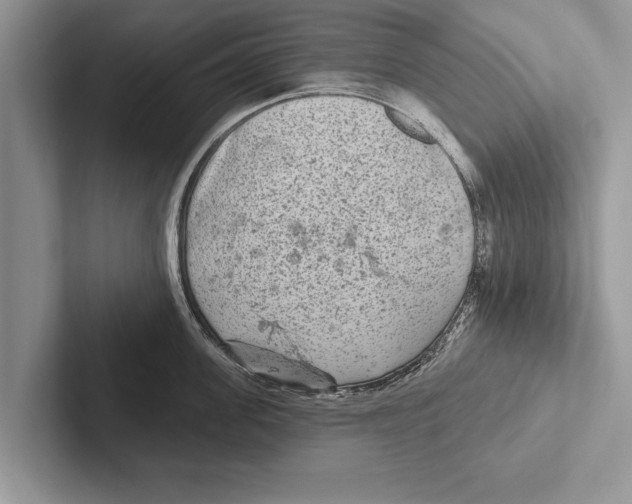 X0000102540955200809051530