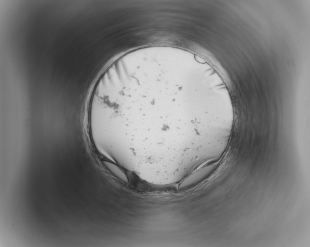 X0000102540956200809051530