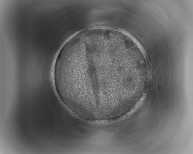 X0000102540957200809051530