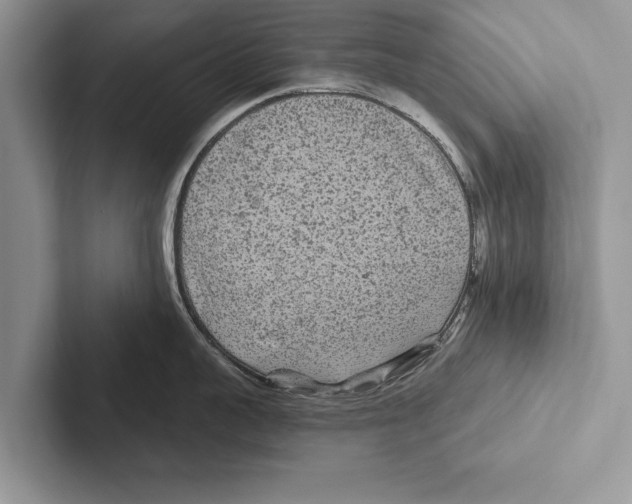 X0000102540959200809051530