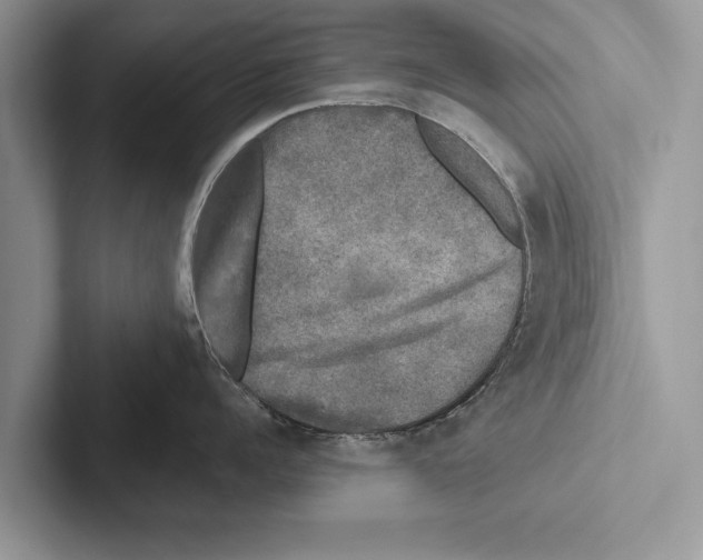 X0000102540960200809051530