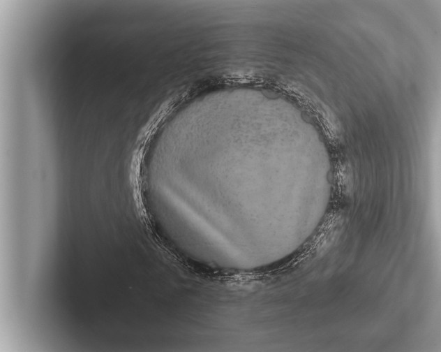 X0000102540961200809051529