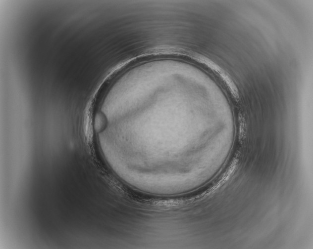 X0000102540973200809051529