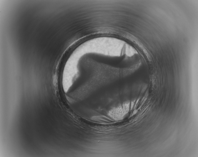 X0000102540975200809051529