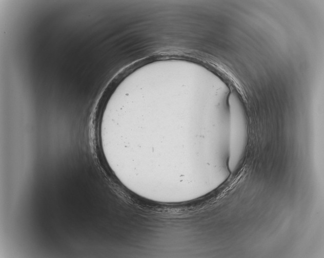 X0000102540976200809051529