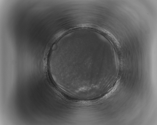 X0000102540977200809051529