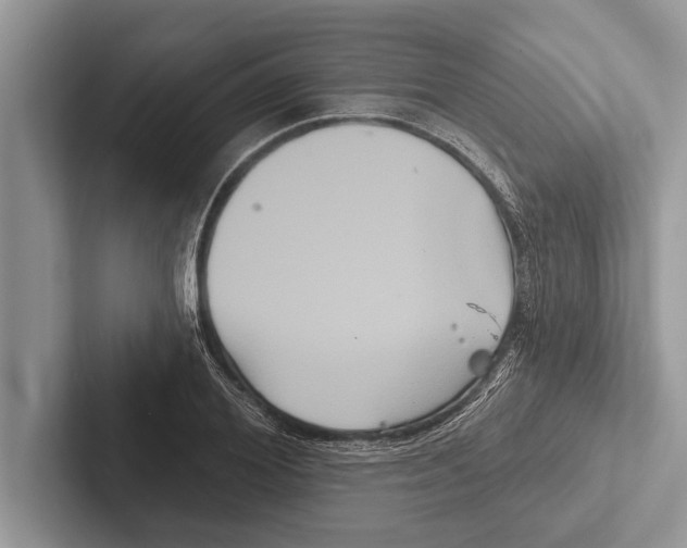 X0000102540980200809051529