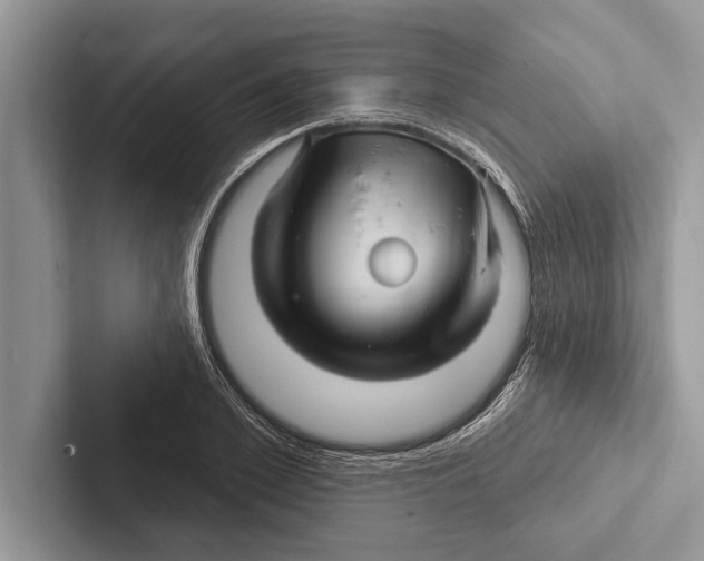 X0000102540981200809051529