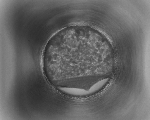 X0000102540983200809051529