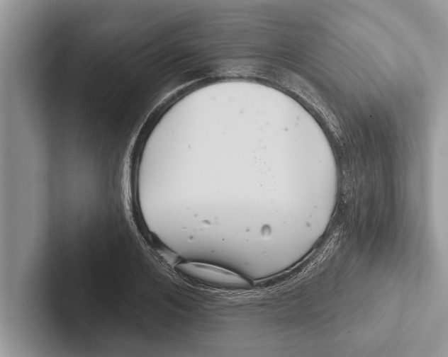 X0000102540984200809051529