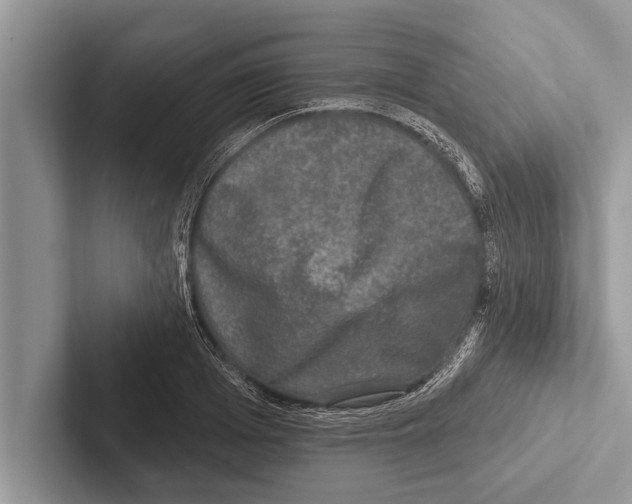 X0000102540985200809051529