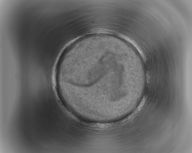 X0000102540987200809051529