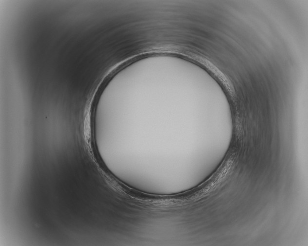 X0000102540988200809051529