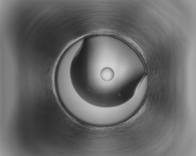 X0000102540989200809051529