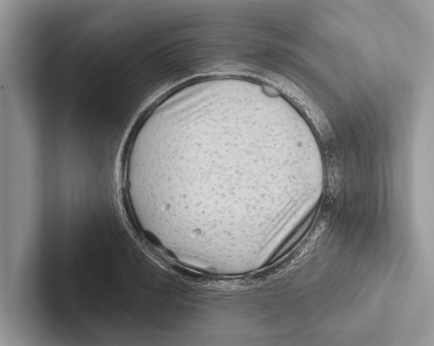 X0000102540990200809051529