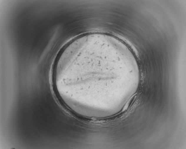 X0000102540991200809051529