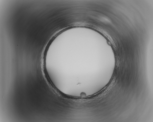 X0000102540992200809051529