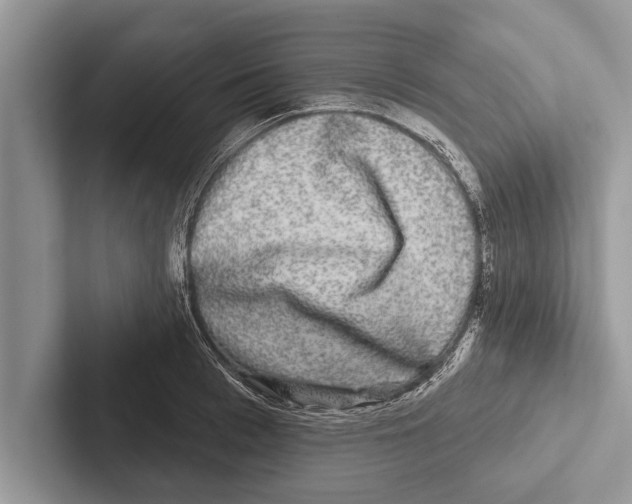 X0000102540993200809051529