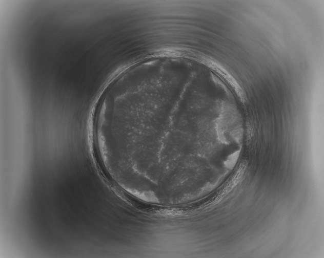 X0000102540994200809051529