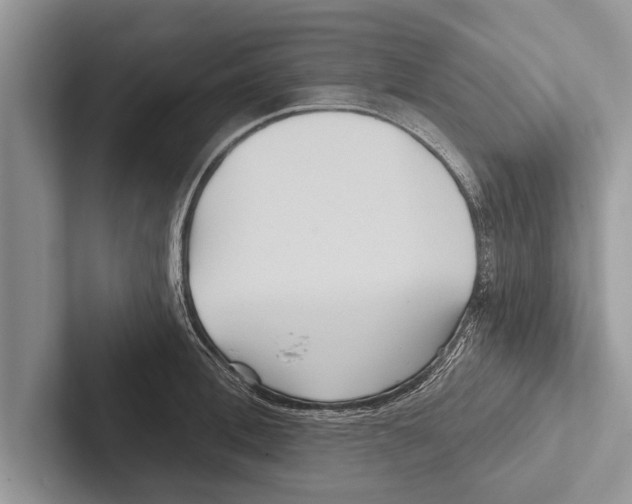 X0000102540996200809051529