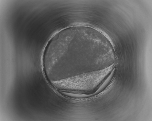 X0000102540997200809051529